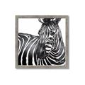 Picture of Zebra Watching _GroupedProduct_Square_Framed_Matted_