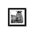 Picture of Zebra Watching _GroupedProduct_Square_Framed_Matted_