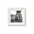 Picture of Zebra Watching _GroupedProduct_Square_Framed_Matted_