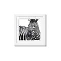 Picture of Zebra Watching _GroupedProduct_Square_Framed_Matted_