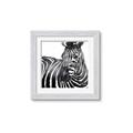 Picture of Zebra Watching _GroupedProduct_Square_Framed_Matted_