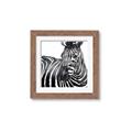 Picture of Zebra Watching _GroupedProduct_Square_Framed_Matted_
