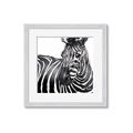 Picture of Zebra Watching _GroupedProduct_Square_Framed_Matted_