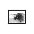 Picture of Big Cattle  _GroupedProduct_Rectangle_Landscape_Framed_Matted_