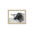 Picture of Big Cattle  _GroupedProduct_Rectangle_Landscape_Framed_Matted_
