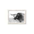 Picture of Big Cattle  _GroupedProduct_Rectangle_Landscape_Framed_Matted_