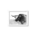 Picture of Big Cattle  _GroupedProduct_Rectangle_Landscape_Framed_Matted_