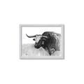 Picture of Big Cattle  _GroupedProduct_Rectangle_Landscape_Framed_Matted_
