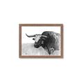 Picture of Big Cattle  _GroupedProduct_Rectangle_Landscape_Framed_Matted_