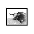 Picture of Big Cattle  _GroupedProduct_Rectangle_Landscape_Framed_Matted_