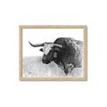 Picture of Big Cattle  _GroupedProduct_Rectangle_Landscape_Framed_Matted_