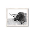 Picture of Big Cattle  _GroupedProduct_Rectangle_Landscape_Framed_Matted_