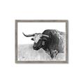 Picture of Big Cattle  _GroupedProduct_Rectangle_Landscape_Framed_Matted_
