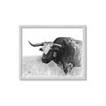 Picture of Big Cattle  _GroupedProduct_Rectangle_Landscape_Framed_Matted_
