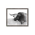 Picture of Big Cattle  _GroupedProduct_Rectangle_Landscape_Framed_Matted_