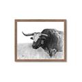 Picture of Big Cattle  _GroupedProduct_Rectangle_Landscape_Framed_Matted_