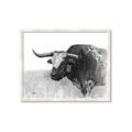 Picture of Big Cattle  _GroupedProduct_Rectangle_Landscape_Framed_Matted_