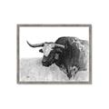 Picture of Big Cattle  _GroupedProduct_Rectangle_Landscape_Framed_Matted_