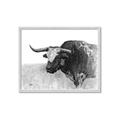 Picture of Big Cattle  _GroupedProduct_Rectangle_Landscape_Framed_Matted_