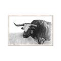 Picture of Big Cattle  _GroupedProduct_Rectangle_Landscape_Framed_Matted_