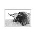 Picture of Big Cattle  _GroupedProduct_Rectangle_Landscape_Framed_Matted_