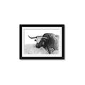 Picture of Big Cattle  _GroupedProduct_Rectangle_Landscape_Framed_Matted_