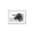 Picture of Big Cattle  _GroupedProduct_Rectangle_Landscape_Framed_Matted_