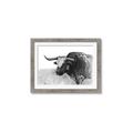 Picture of Big Cattle  _GroupedProduct_Rectangle_Landscape_Framed_Matted_