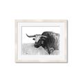 Picture of Big Cattle  _GroupedProduct_Rectangle_Landscape_Framed_Matted_