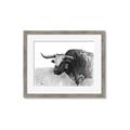 Picture of Big Cattle  _GroupedProduct_Rectangle_Landscape_Framed_Matted_