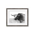 Picture of Big Cattle  _GroupedProduct_Rectangle_Landscape_Framed_Matted_
