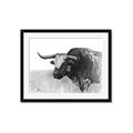 Picture of Big Cattle  _GroupedProduct_Rectangle_Landscape_Framed_Matted_
