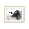 Picture of Big Cattle  _GroupedProduct_Rectangle_Landscape_Framed_Matted_