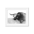 Picture of Big Cattle  _GroupedProduct_Rectangle_Landscape_Framed_Matted_