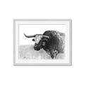 Picture of Big Cattle  _GroupedProduct_Rectangle_Landscape_Framed_Matted_