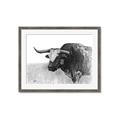 Picture of Big Cattle  _GroupedProduct_Rectangle_Landscape_Framed_Matted_