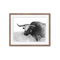 Picture of Big Cattle  _GroupedProduct_Rectangle_Landscape_Framed_Matted_