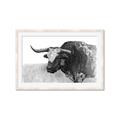 Picture of Big Cattle  _GroupedProduct_Rectangle_Landscape_Framed_Matted_