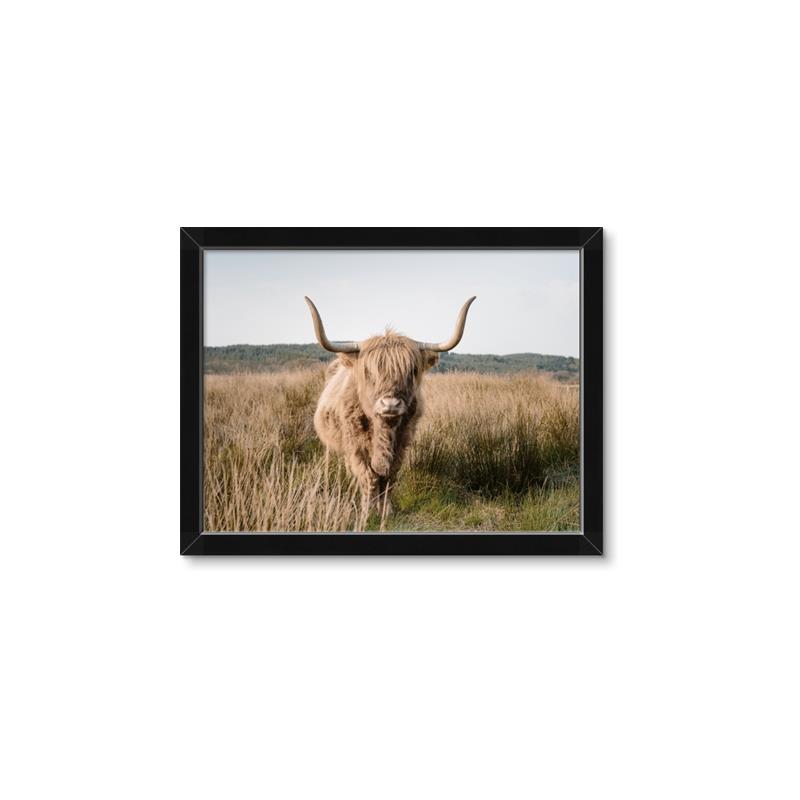 Picture of Beautiful Cow, Bella  _GroupedProduct_Rectangle_Landscape_Photography _GroupedProduct_Rectangle_Landscape_Framed_Matted_