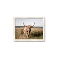 Picture of Beautiful Cow, Bella  _GroupedProduct_Rectangle_Landscape_Photography _GroupedProduct_Rectangle_Landscape_Framed_Matted_