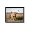 Picture of Beautiful Cow, Bella  _GroupedProduct_Rectangle_Landscape_Photography _GroupedProduct_Rectangle_Landscape_Framed_Matted_