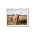 Picture of Beautiful Cow, Bella  _GroupedProduct_Rectangle_Landscape_Photography _GroupedProduct_Rectangle_Landscape_Framed_Matted_