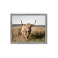 Picture of Beautiful Cow, Bella  _GroupedProduct_Rectangle_Landscape_Photography _GroupedProduct_Rectangle_Landscape_Framed_Matted_