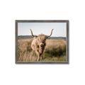 Picture of Beautiful Cow, Bella  _GroupedProduct_Rectangle_Landscape_Photography _GroupedProduct_Rectangle_Landscape_Framed_Matted_
