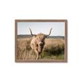 Picture of Beautiful Cow, Bella  _GroupedProduct_Rectangle_Landscape_Photography _GroupedProduct_Rectangle_Landscape_Framed_Matted_