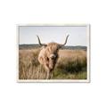 Picture of Beautiful Cow, Bella  _GroupedProduct_Rectangle_Landscape_Photography _GroupedProduct_Rectangle_Landscape_Framed_Matted_