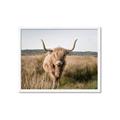 Picture of Beautiful Cow, Bella  _GroupedProduct_Rectangle_Landscape_Photography _GroupedProduct_Rectangle_Landscape_Framed_Matted_