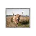 Picture of Beautiful Cow, Bella  _GroupedProduct_Rectangle_Landscape_Photography _GroupedProduct_Rectangle_Landscape_Framed_Matted_