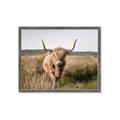 Picture of Beautiful Cow, Bella  _GroupedProduct_Rectangle_Landscape_Photography _GroupedProduct_Rectangle_Landscape_Framed_Matted_