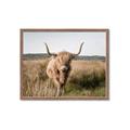 Picture of Beautiful Cow, Bella  _GroupedProduct_Rectangle_Landscape_Photography _GroupedProduct_Rectangle_Landscape_Framed_Matted_